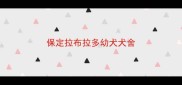 保定拉布拉多幼犬犬舍