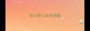 哈士奇几纸杯狗粮