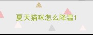 夏天猫咪怎么降温