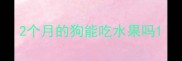 2个月的狗能吃水果吗