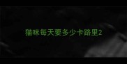 猫咪每天要多少卡路里