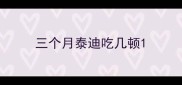 三个月泰迪吃几顿