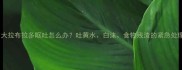 两个月大拉布拉多呕吐怎么办吐黄水白沫食物残渣的紧急处理指南