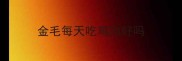 金毛每天吃鸡肉好吗