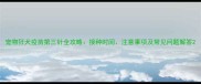 宠物狂犬疫苗第三针全攻略接种时间注意事项及常见问题解答