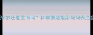 拉布拉多5岁还能生育吗科学繁殖指南与饲养注意事项全