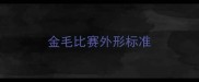 金毛比赛外形标准