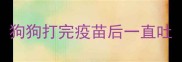 狗狗打完疫苗后一直吐