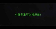 小猫多重可以打疫苗