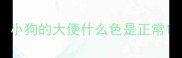 小狗的大便什么色是正常