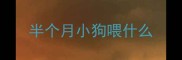 半个月小狗喂什么
