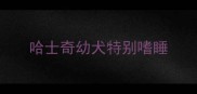 哈士奇幼犬特别嗜睡
