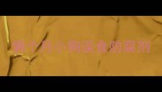 俩个月小狗误食防腐剂