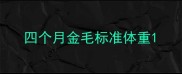 四个月金毛标准体重