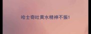 哈士奇吐黄水精神不振
