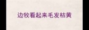 边牧看起来毛发枯黄