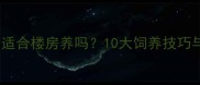 拉布拉多金毛适合楼房养吗10大饲养技巧与注意事项全