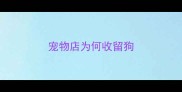 宠物店为何收留狗