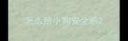 怎么给小狗安全感