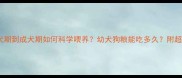 哈士奇幼犬期到成犬期如何科学喂养幼犬狗粮能吃多久附超全指南