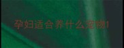 孕妇适合养什么宠物