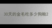 30天的金毛吃多少狗粮