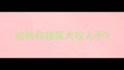 边牧和银狐犬咬人不