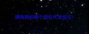 摸狗狗的哪个部位代表信任