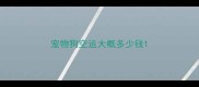 宠物狗空运大概多少钱