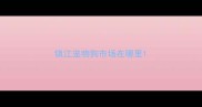 镇江宠物狗市场在哪里