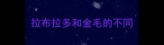 拉布拉多和金毛的不同