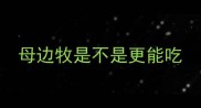 母边牧是不是更能吃