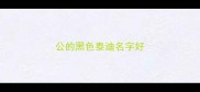 公的黑色泰迪名字好
