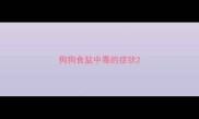 狗狗食盐中毒的症状
