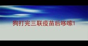 狗打完三联疫苗后哆嗦