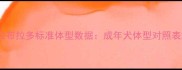 拉布拉多标准体型数据成年犬体型对照表