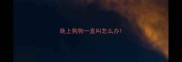 晚上狗狗一直叫怎么办