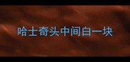 哈士奇头中间白一块
