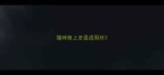 猫咪晚上老是进厕所