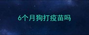6个月狗打疫苗吗