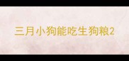三月小狗能吃生狗粮