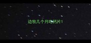 边牧几个月吃钙片