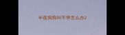半夜狗狗叫不停怎么办