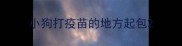 小狗打疫苗的地方起包