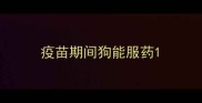 疫苗期间狗能服药