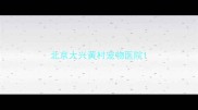 北京大兴黄村宠物医院