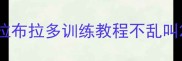 拉布拉多训练教程不乱叫
