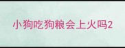 小狗吃狗粮会上火吗