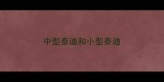 中型泰迪和小型泰迪