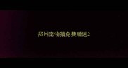 郑州宠物猫免费赠送